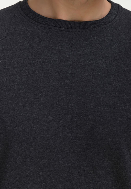 Свитшот мужской GREG G121-OZ02-30 (антрацит м.)  фото 5