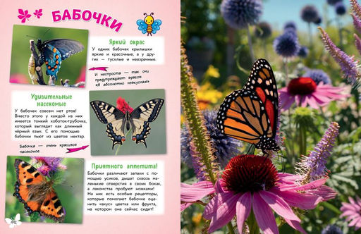 Обо всем на свете! Большая энциклопедия для маленьких