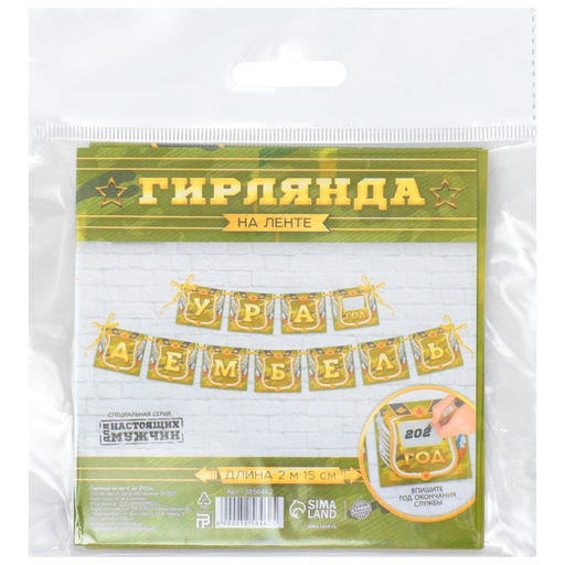 Гирлянда на ленте Дембель, длина 215 см