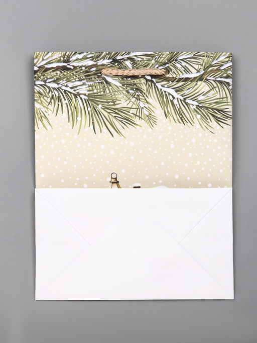 Цена за 2 шт. Пакет подарочный новогодний ламинированный, «Новогодний дом», 18×10×22.3 см