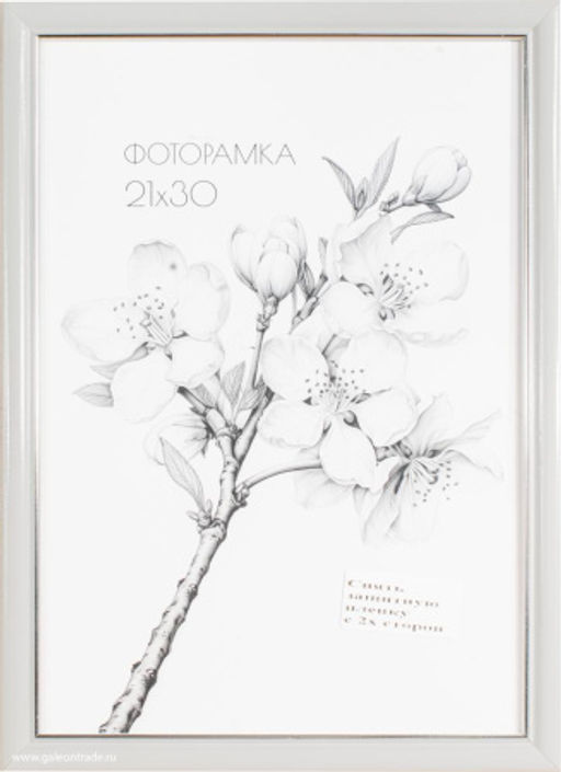 Фоторамка 21x30 с акриловым стеклом / 1503B-012Al2 /уп10 ф - ГалеонТрейд фото 2