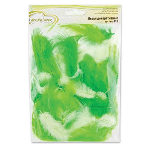 Mr.Painter PLU-04 Перья декоративные 5 - 10 см 5 х 3 г 0.5 г фото 3