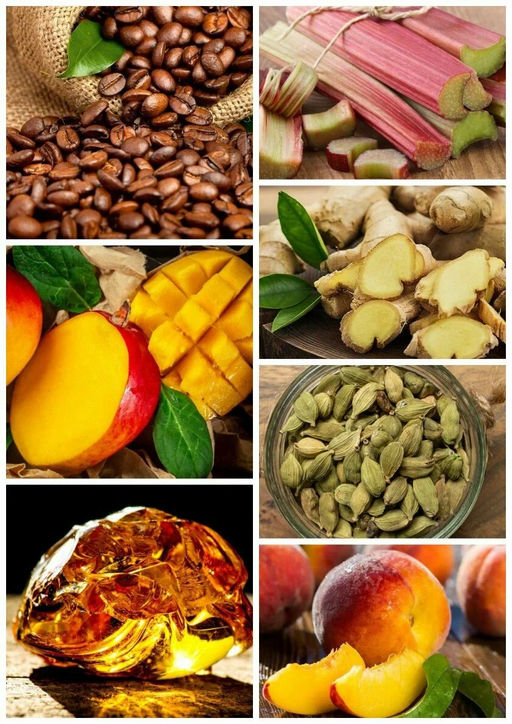 Vertus Narcosis 100ml edp