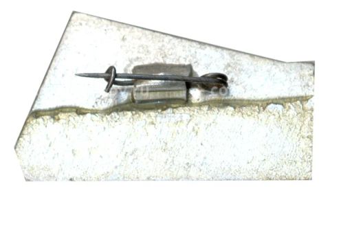 Значок Брянск -город партизанской славы