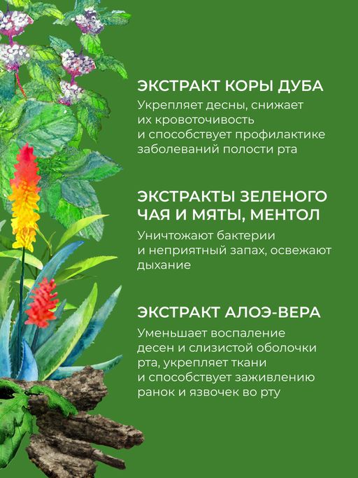 Зубная паста Комплексный уход Эвкалипт - Siberina фото 8