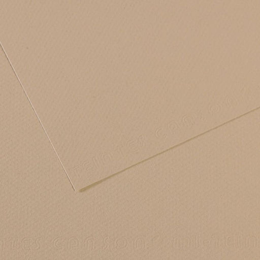 Canson Бумага для пастели Mi-Teintes 160 г/м2 A4 21 х 29.7 см лист 25 л. №343 Серо-бежевый C31032S014