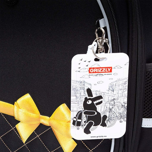 RAz-586-1 Рюкзак школьный