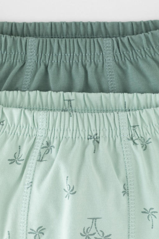 К 1930-2уп/полынь,голубая дымка,пальмы трусы для мал - Crockid фото 3