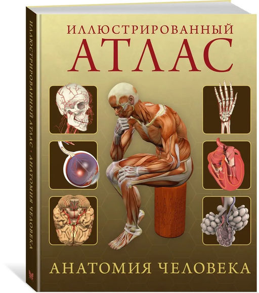 Иллюстрированный атлас. Анатомия человека. Роубак Д. - Издательство махаон фото 2