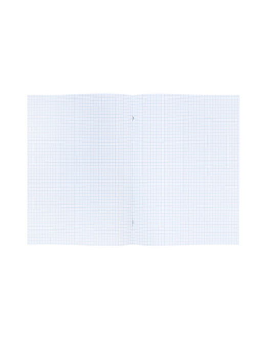 Набор тетрадей Calligrata. VIGO, А4, 2 штуки, 96 листов, обложка из бумвинила, зелёные