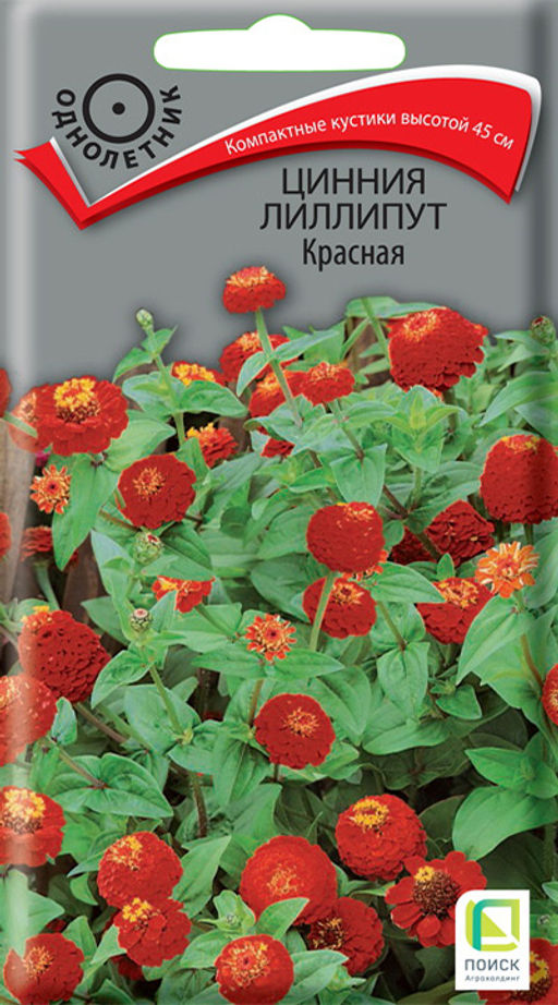 Цинния лиллипут Красная (ЦВ) (1) 0,4гр. - Поиск фото 2