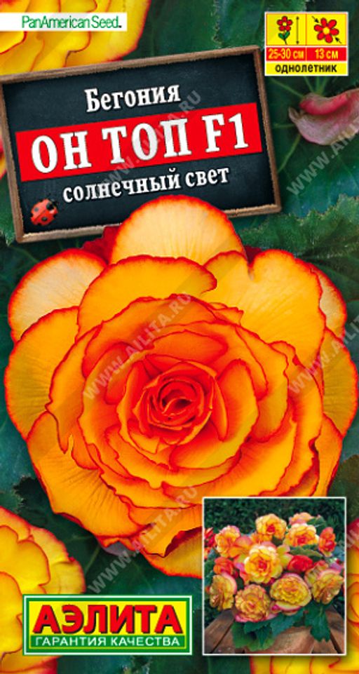 Бегония Он Топ F1 солнечный свет (2026)