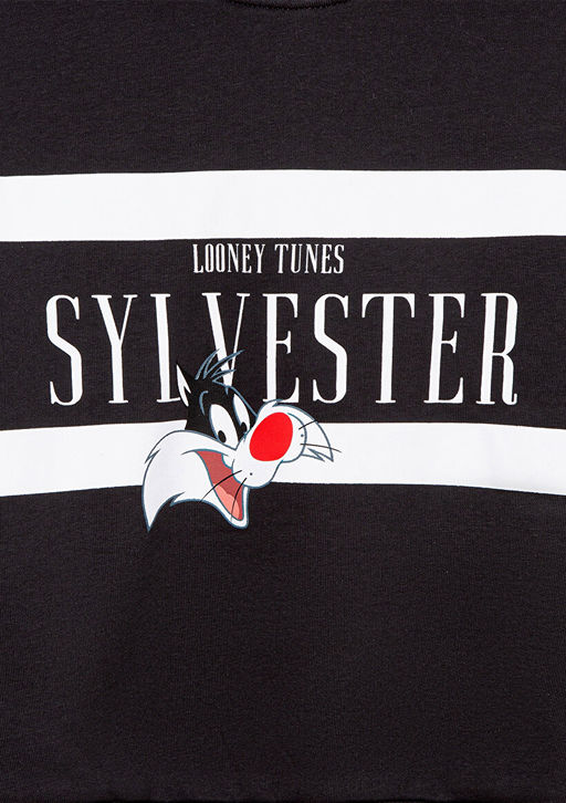 Sylvester Bask?l? Antrasit Sweatshirt - Mavi фото 5
