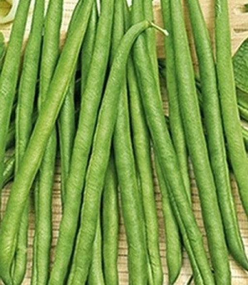 1978A Фасоль овощная Журавушка 15шт (белый пакет)