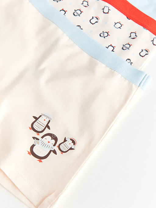 Bask?l? Pamuklu K?z ?ocuk Boxer 3l? - Waikiki фото 3