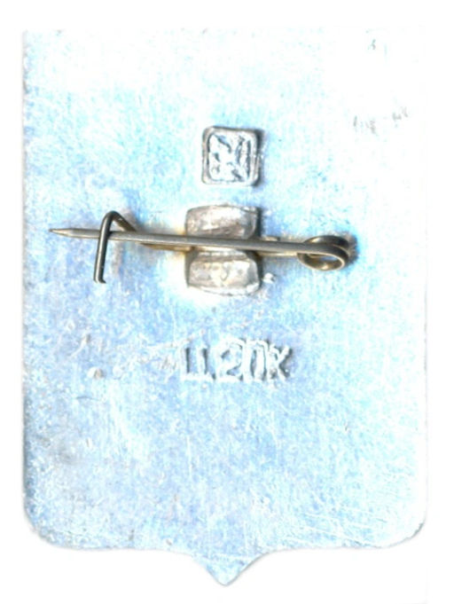 Значок Фатеж