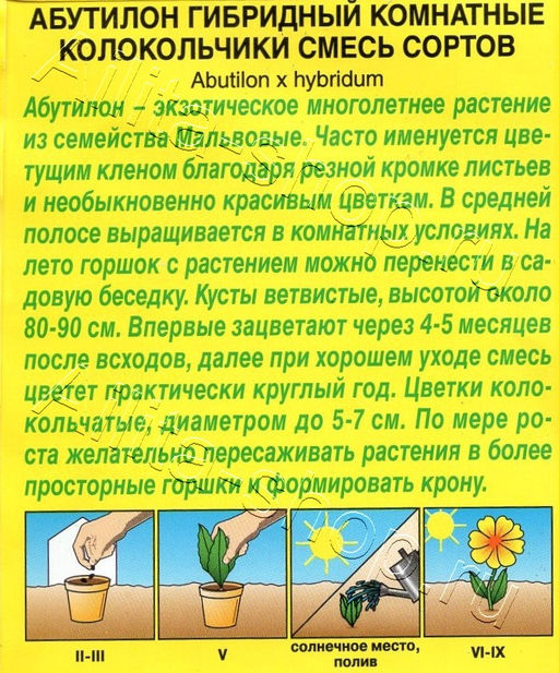 Абутилон Комнатные колокольчики (смесь сортов) 15шт. (Аэлита)