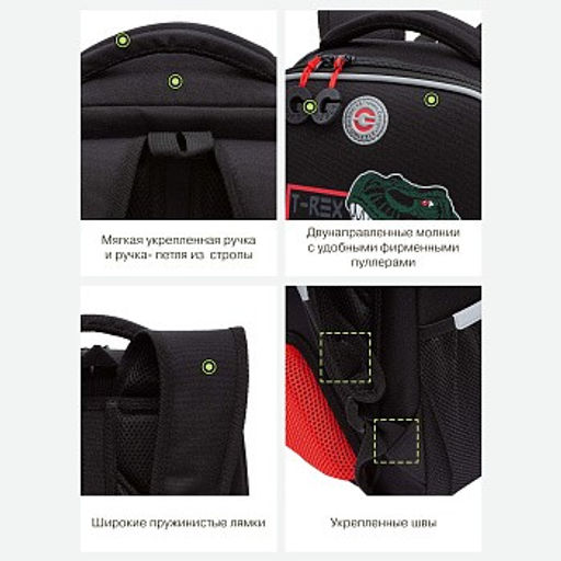 RAw-497-10 Рюкзак школьный - Grizzly фото 18