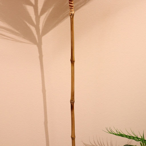 Сухоцвет на бамбуковом стебле, 250 см, кирпичный - Simaland фото 8