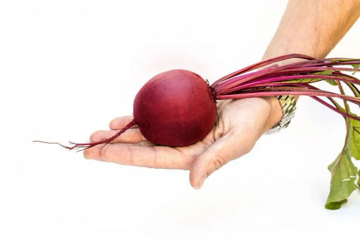 Свекла столовая Пабло - Партнер фото 5