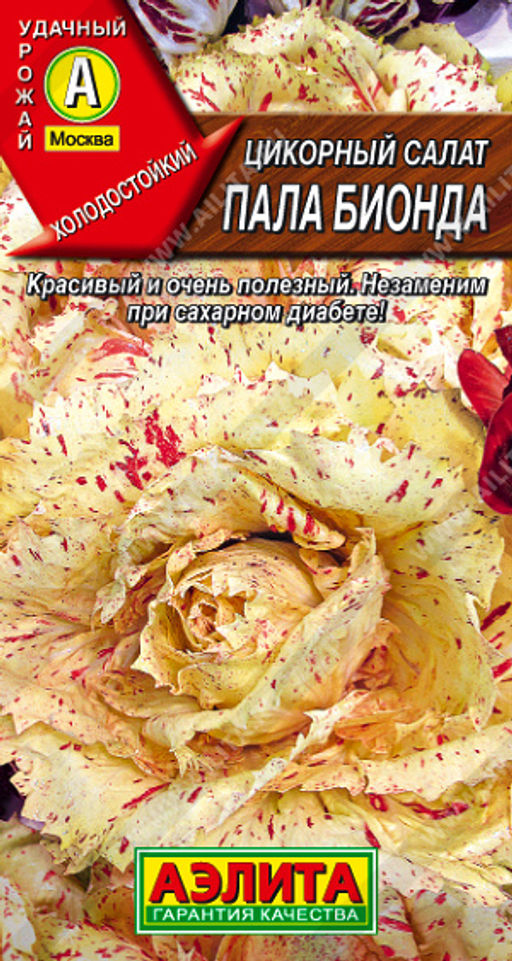 Цикорный салат Пала Бионда (2026)