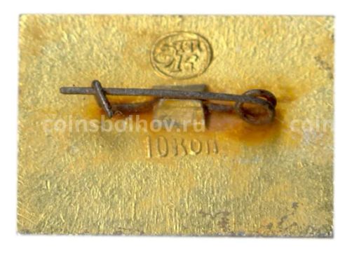 Значок город Печоры  Флюгер