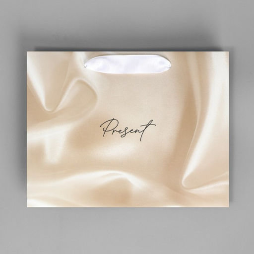 Пакет подарочный Present, 22 х 17.5 х 8 см - Дарите счастье фото 5