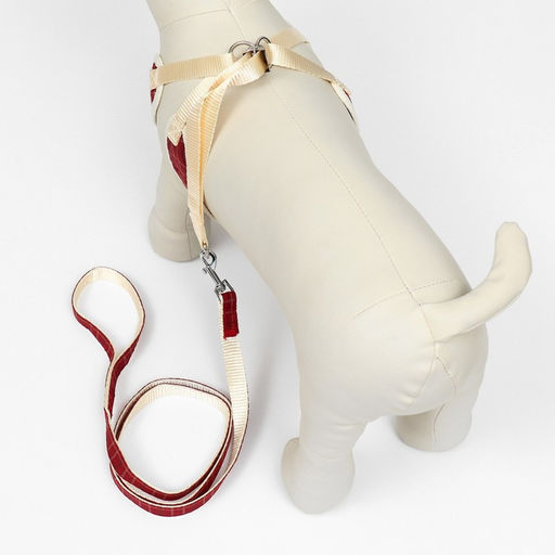 Комплект с мягкой шлейкой Клетки, размер S, поводок, 120 х 1,5 см, ОГ 28-62 см, красный - Пижон фото 3
