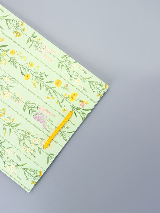 Цена за 2 шт. Пакет подарочный ламинированный Гармония 18?22.3?10 см