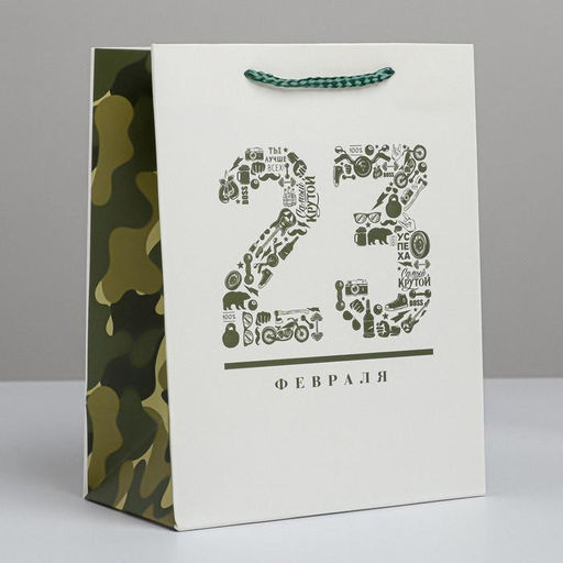 Цена за 2 шт. Пакет подарочный ламинированный, упаковка, «23 февраля», MS 18×23×10 см