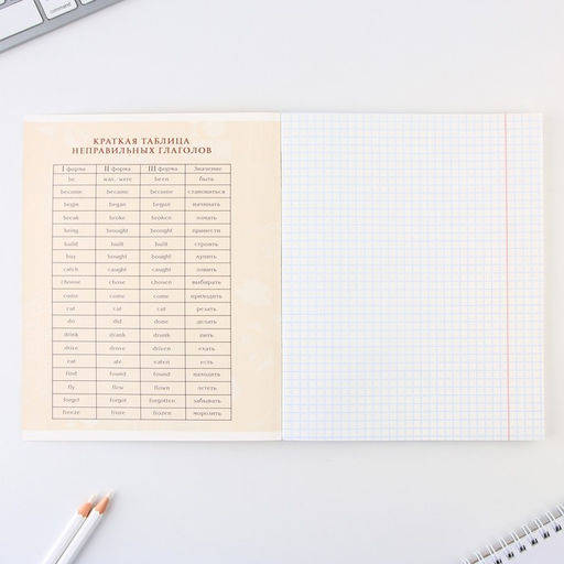 Предметная тетрадь, 48 листов, КОТ, со справочными материалами Английский язык, обложка мелованный картон 230 гр., внутренний блок в клетку 80 гр., белизна 96%,блок №1. - Artfox study фото 3