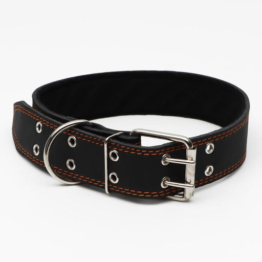 Ошейник кожаный на синтепоне, 82 х 4.5 см, ОШ 50-70 см, чёрный - Пижон фото 2