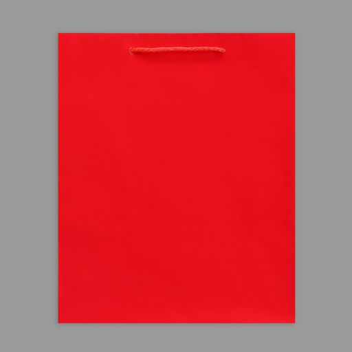 Пакет ламинированный Red, M 24 х 29 х 9 см - Доступные радости фото 8