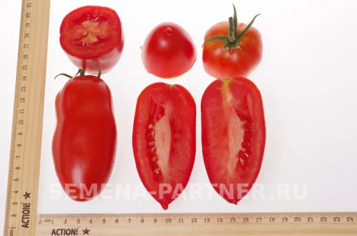 Томат Царское Искушение - Партнер фото 7