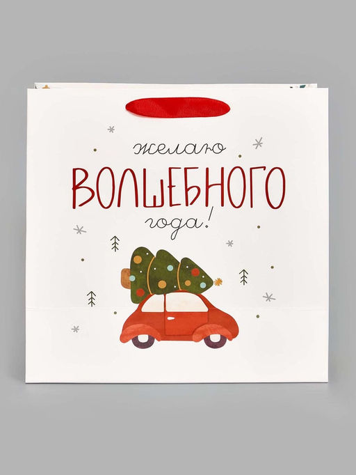 Цена за 2 шт. Пакет подарочный ламинированный новогодний «Волшебного года», 22 × 22 × 11 см
