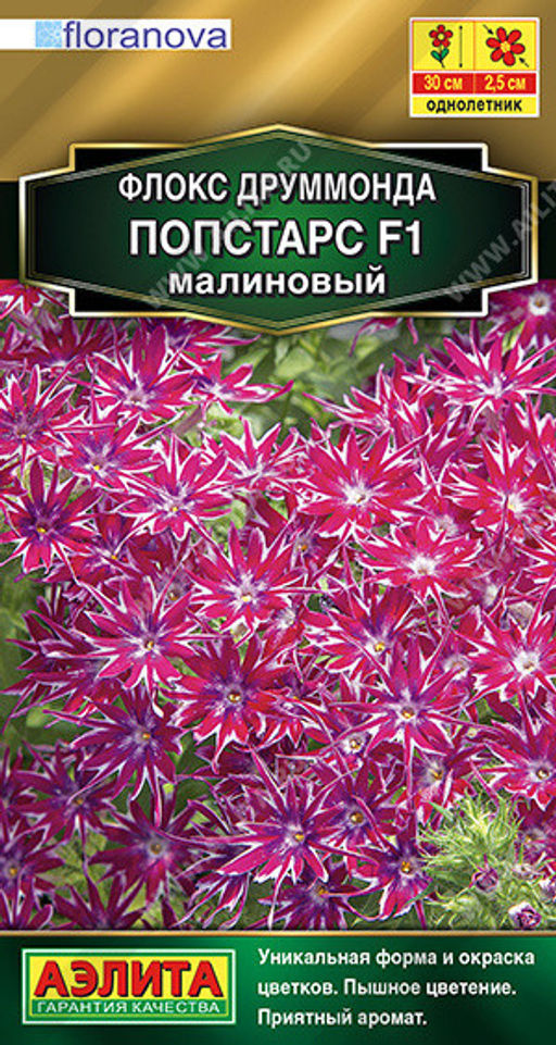 1828A Флокс друммонда Попстарс F1 малиновый 5шт