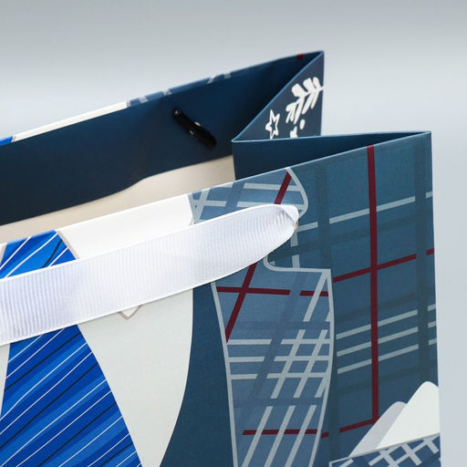 Цена за 2 шт. Пакет подарочный ламинированный, упаковка, Мой папа лучший, ML 27?23?11.5 см