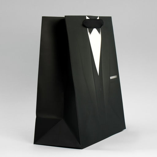 Цена за 2 шт. Пакет подарочный ламинированный, упаковка, Стиль, ML 23?27?11.5 см