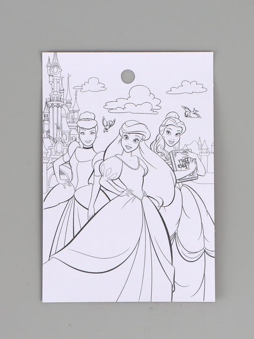 Цена за 10 шт. Наклейки бумажные «Принцессы», c раскраской на обороте, 11 × 15.5 см