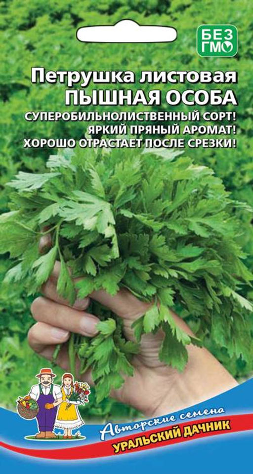 Петрушка листовая ПЫШНАЯ ОСОБА Яркий пряный аромат! Хорошо отрастает после срезки!