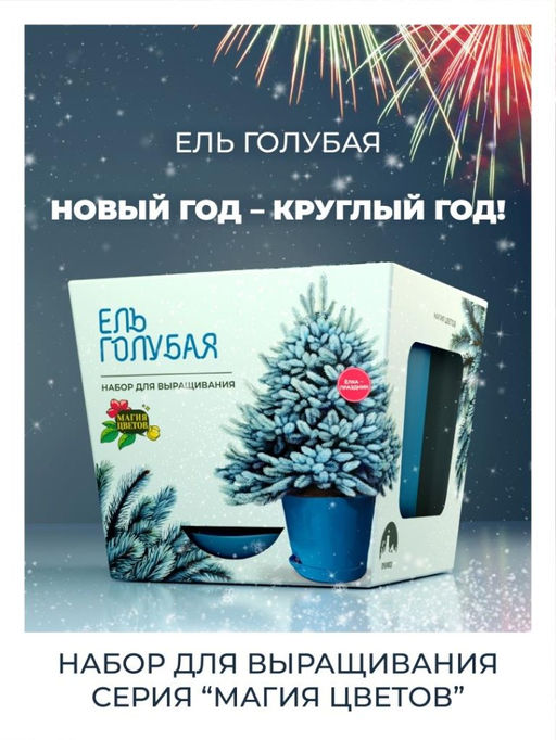 Набор д/выращивания растений "Магия цветов", "Ель голубая"