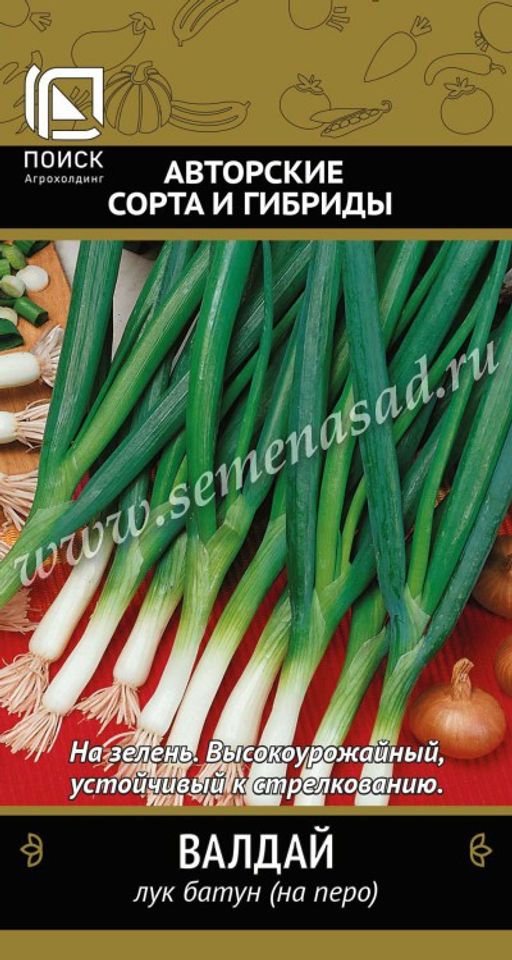 Лук батун Валдай(А) (ЦВ) 1гр.