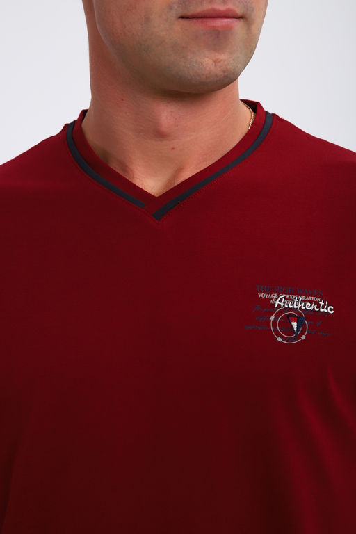 Футболка мужская 059