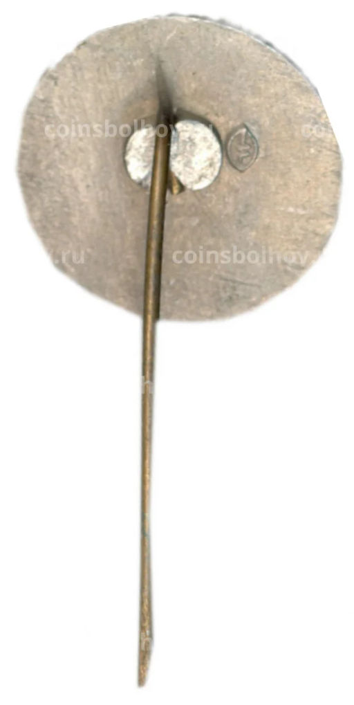 Значок Замок Гедемина