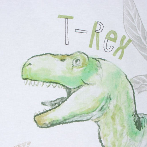 Постельное бельё 1.5-спальное «Этель. Dino world», бязь