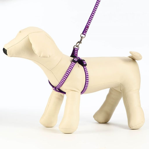 Комплект прошитый Косточки, ширина 1 см, поводок 120 см, шлейка 23-35 см, фиолетовый - Пижон фото 3