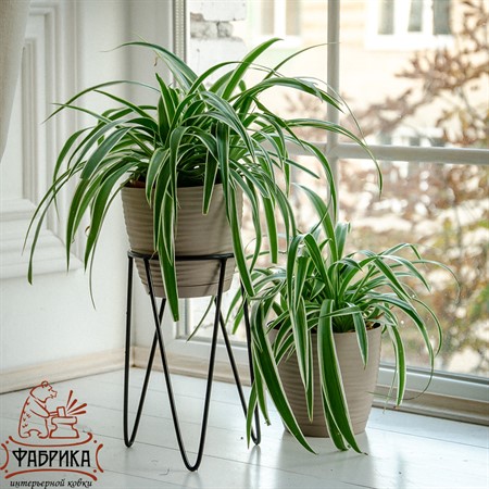 Цветочница Лофт 66-609 - Фабрика интерьерной ковки фото 4