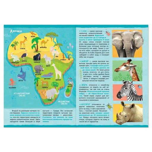 Цена за 2 шт. Книжка с наклейками «Животные нашей планеты», 16 стр.