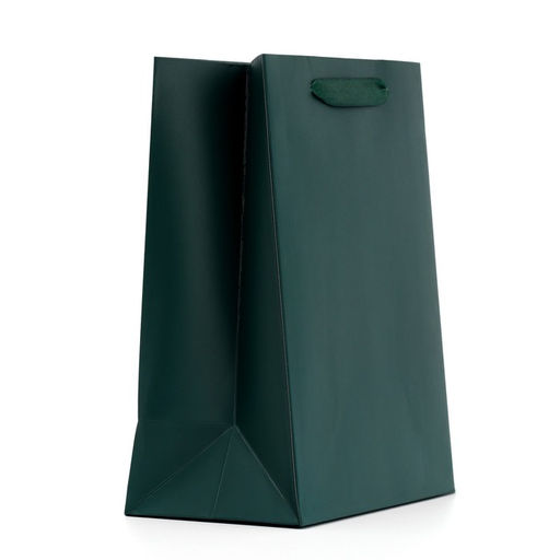 Пакет подарочный ламинированный, упаковка, «Изумрудный», MS 18 х 23 х 10 см