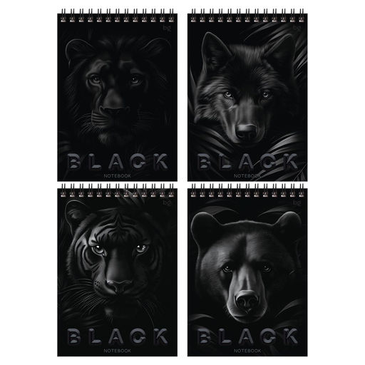 Цена за 2 шт. Блокнот А5 40л. на гребне "Just black" ("BG", Б5гр40 07048)